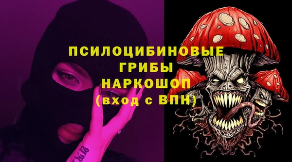 кокс Белокуриха