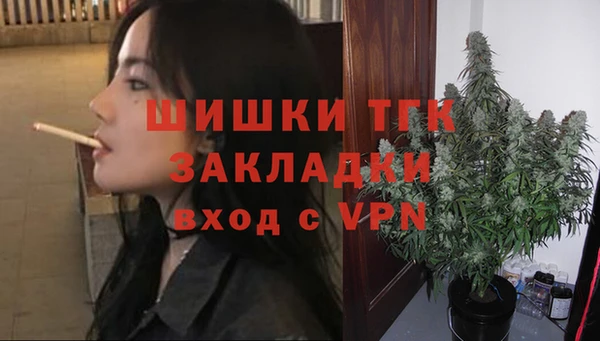 кокс Белокуриха