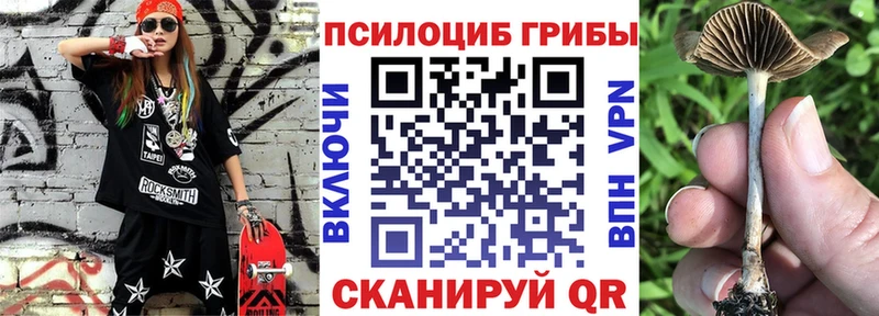 MEGA зеркало  Троицк  Галлюциногенные грибы ЛСД 